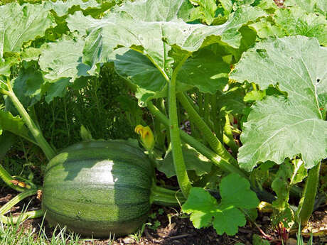 Le Jardin de la Rivière