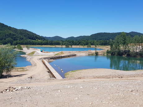 Découverte des pollinisateurs et de leurs plantes, à la réserve départementale d'Argentat