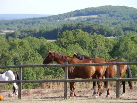 Centre Equestre de Grand Lac