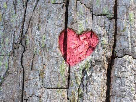 Repas de la Saint-Valentin à l'Évidence à Cazals