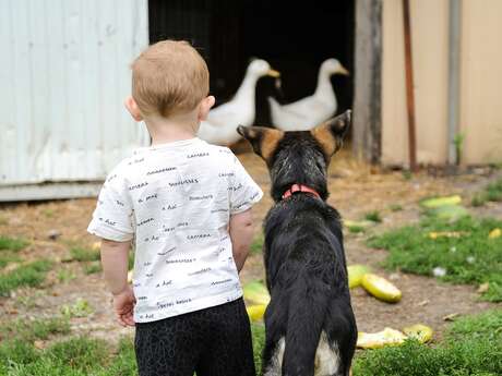 Rencontre Médiatrice Animale