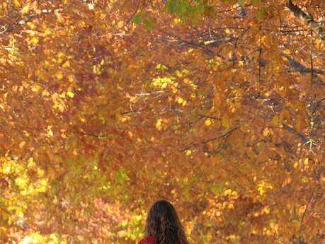 Randonnée équestre au Gascou avec l'ARET