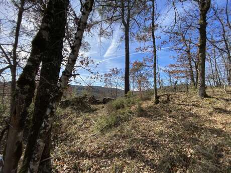 Les trois communes en VTT