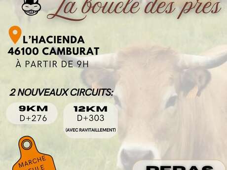 Randonnée à Camburat : la boucle des prés