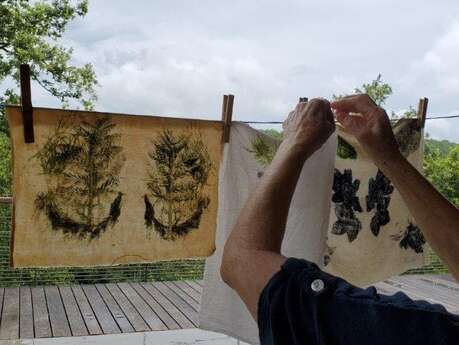 Ateliers "Jardin et Biodiversité" en famille : "Impressions végétales" au Jardin Bourian