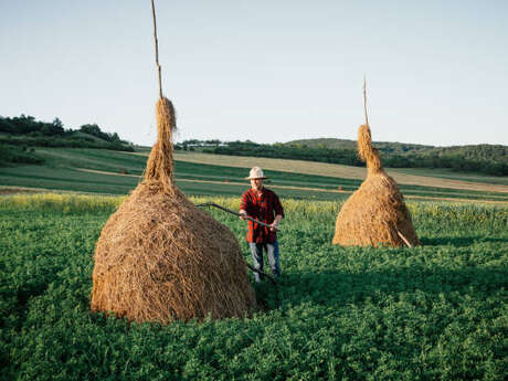 Exposition "Transylvanie - visages et paysages"