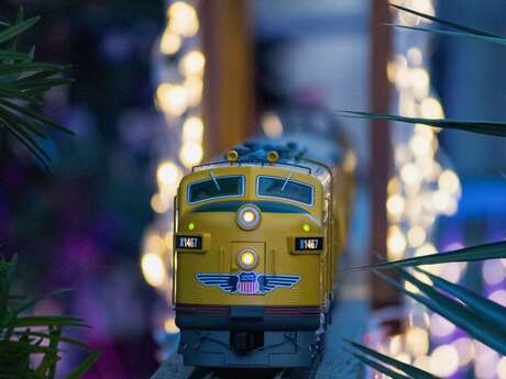 Spectacle:  Saint-Denis au fil des lumières