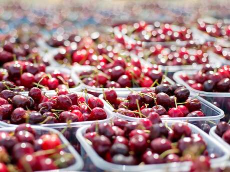 Foire aux cerises à Rilhac-Xaintrie