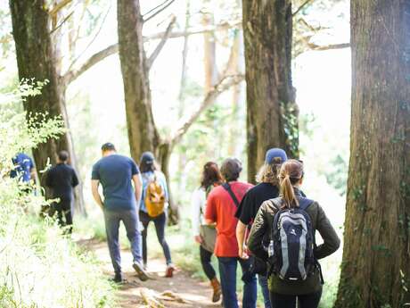 Les 46 km du 46 à Loubressac