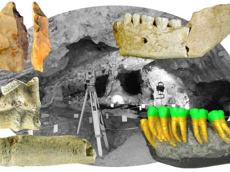 Conférence : La Grotte de Sirogne