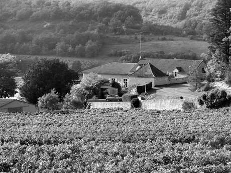 Domaine de Lacoste