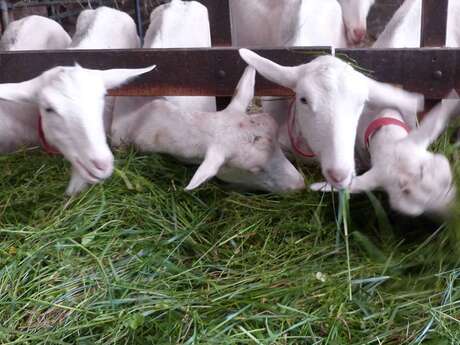 Ferme de Laspeyrières