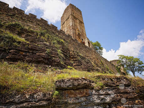 P'tit Dej' au Musée : des histoires plein les yeux