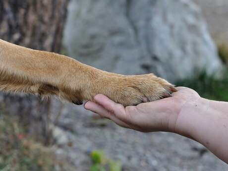 Fête du printemps et du vivant