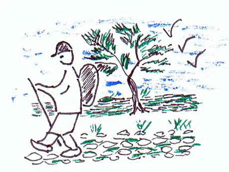 Randonnée pédestre Trotte Cailloux