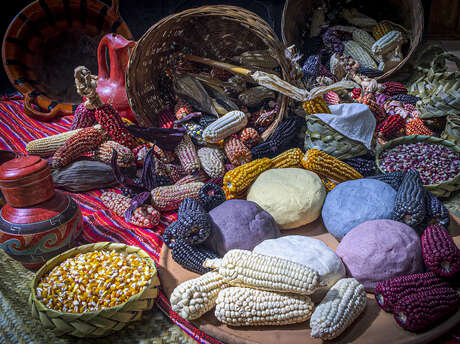 Dans le cadre du festival mexicain : ateliers cuisine