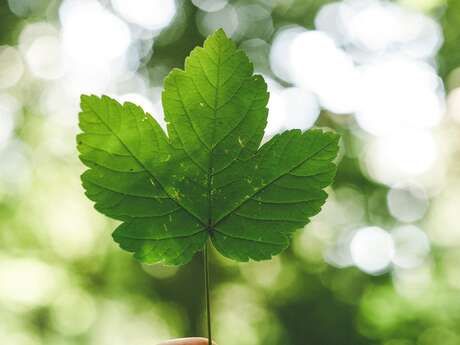 Ciné-rencontre Tous résistants dans l'Ame