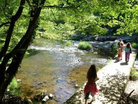 Balade-nature aux Tours de Merle :  le monde des fleurs