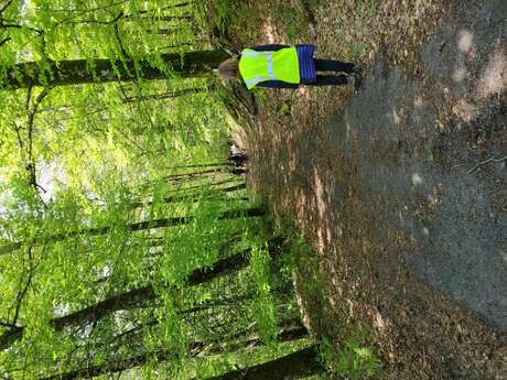 Randonnée à Mercœur