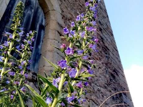 Tours de Merle : l'homme et la nature au Moyen Age