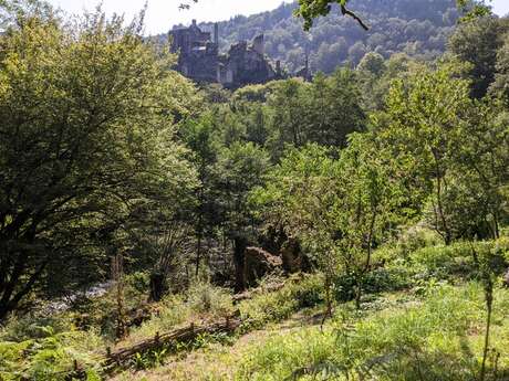 Tours de Merle : visite guidée -  L'homme et la nature au Moyen-âge
