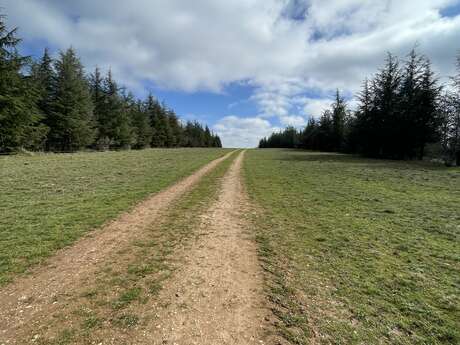 Des falaises de Saint-Cirq-Lapopie à la forêt de Monclar