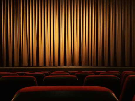 Ciné-Débat : ''La couleuvre noire''