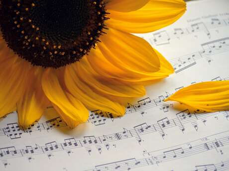 Comédie musicale : ''La vie, c'est de la musique''