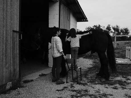 Journées découverte de la Médiation par le cheval