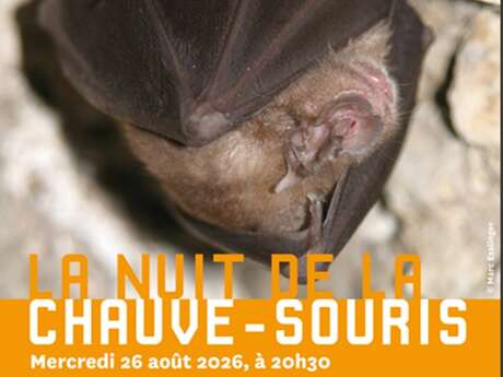 La nuit de la chauve-souris au Château d’Assier