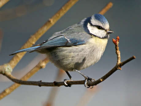 Fête de la nature aux Jardins Sothys