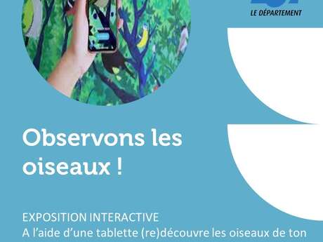 Exposition interactive : Observons les oiseaux!