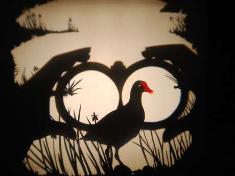 Théâtre de l'Usine - Volatile ombré