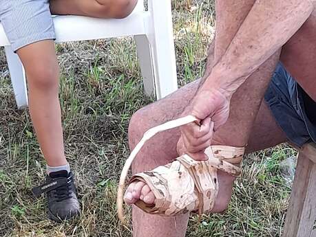 Journée découverte de la flore sauvage comestible