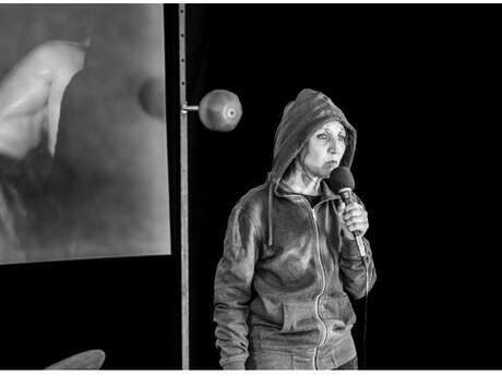 Spectacle théâtral "Shadow"