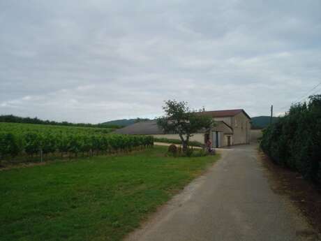 Domaine du Colombier / Château Trompette