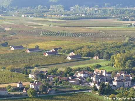 Ferme Départementale d’Anglars-Juillac / Château d'Anglars