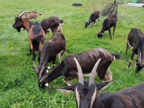 De ferme en ferme, Ferme du Lac des Termes à Issendolus