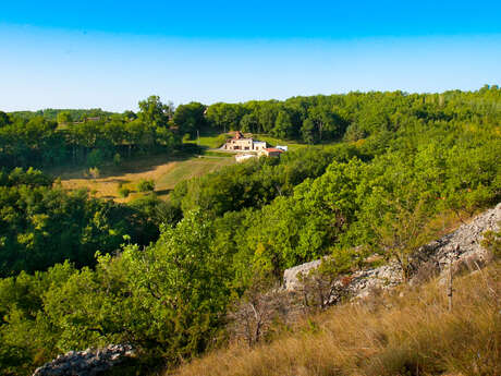 Domaine de l'Art et du Cochon - Le Grand Miles