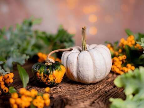Fête de l'automne