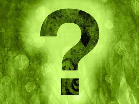 Le Quizz de la Ruche des Arques