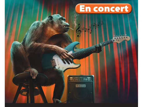 Concert "Les Robertson's" au Café du Midi