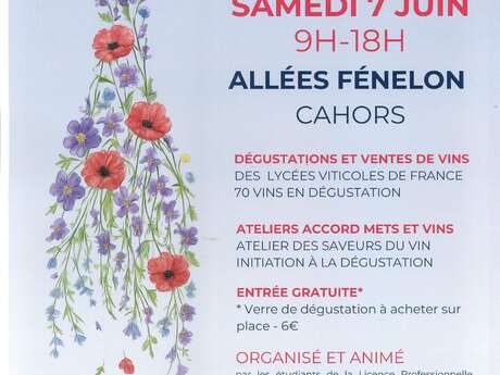 Fête des vins du Domaine de Lacoste