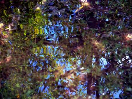 Stage "Hormone Yoga Therapy®" à Ladorée