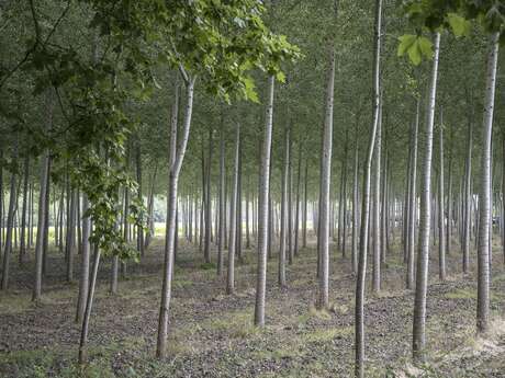 Imagine ta forme des lieux