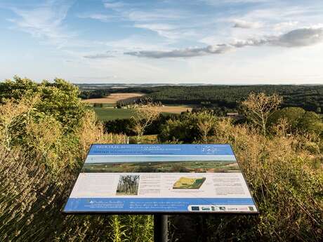 Tables d'interprétation des coteaux de Tourtrès