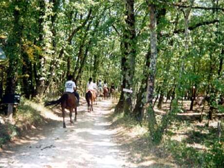 Camping à la ferme Crinière au vent