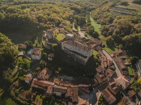 Château et bourg de Blanquefort-sur-Briolance