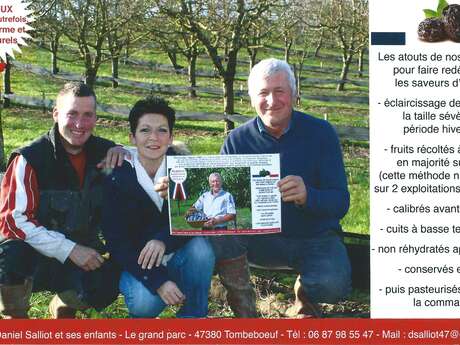 Les Prunes d'Autrefois