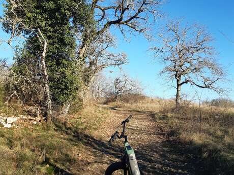 Circuit E-Way Adventure - Bastide royale de Tournon d’Agenais et son vin du Tsar